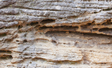 Holes in the sandstone.