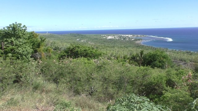 Littoral &agrave; La R&eacute;union