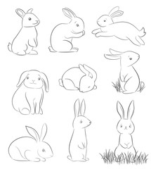 set of cute cartoon rabbits. line art vector drawing