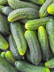 Fresh green cucumbers background