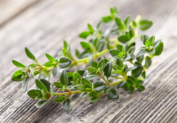 Thyme spices