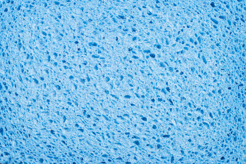 Blue sponge