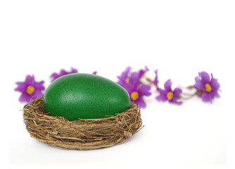 Easter egg in the nest and spring flowers on light background