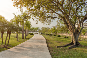 Trees and walkway on green grass field in the park at morning.