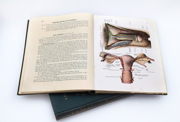 medical book with illustration of male and female genitals