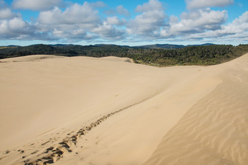 Foot prints on the scenic dunes of Te Paki in the Far North, New Zealand