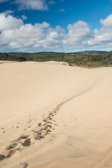 Foot prints on the scenic dunes of Te Paki in the Far North, New Zealand