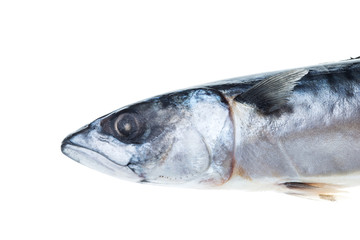 Fresh mackerel isolated white background