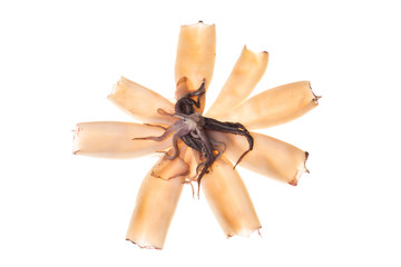 Fresh clean Patagonian squid isolated 