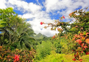 Zelfklevend Fotobehang Montagne Pelée (vulkaan kale berg), Martinique, Caraïben © dpVUE .images