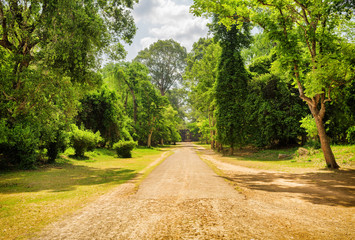 Road through rainforest in ancient Angkor Wat, Cambodia