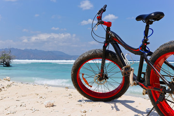 Fototapeta premium fatbike in front of the sea