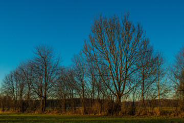 Obraz premium Sonnenuntergang im bayerischen Voralpenland