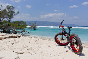 Fototapeta premium fat bike on the sand
