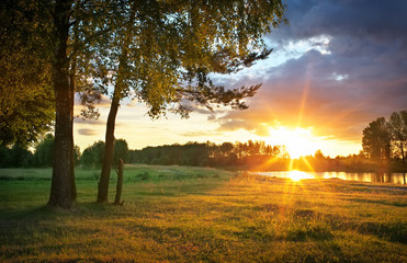 Beautiful evening sunny landscape with trees, grass and river