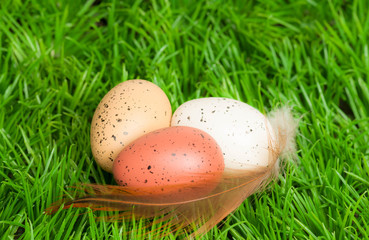 Ostereier im Gras
