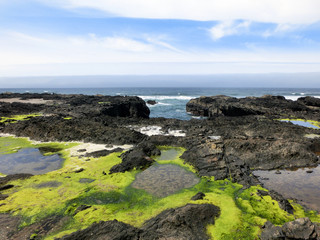 Fototapeta na wymiar California coastline with tidal pools and green seaweed - landscape photo