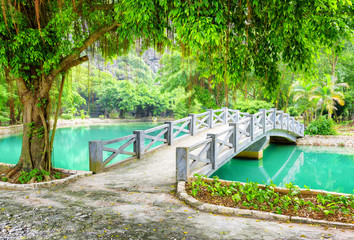 Bridge over canal with azure water in tropical garden, Vietnam