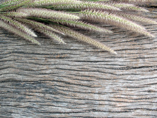 background,old wooden background with grass