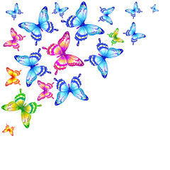 Naklejka premium butterflies design