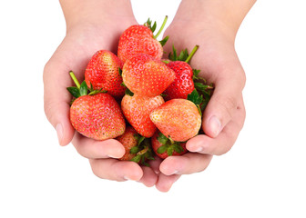 fresh red stawberry on hand on white background