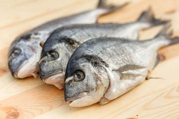 Fish on wooden background