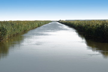 The main irrigation rice fields