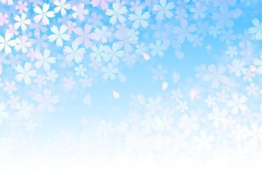 桜　春　花　背景