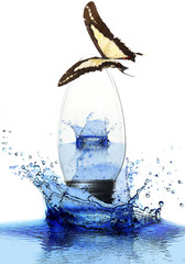 Colorful butterfly sitting on light bulb in water splash isolated on white