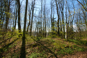 Ein Spaziergang im bayerischen Voralpenland