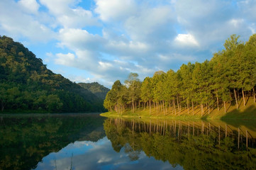 pang ung , reflection of pine tree in a lake , meahongson , Thai - obrazy, fototapety, plakaty
