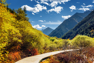 Wooden boardwalk across autumn forest among wooded mountains