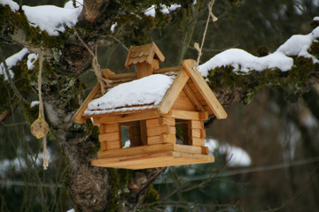 Obraz premium Vogelhäuschen im Winter