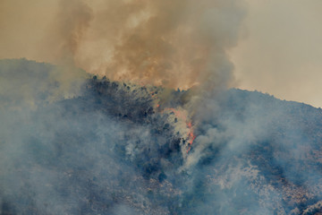 Italy, Ventimiglia, 2015.09.09: Fire in the forest mountain in the Italian town of Ventimiglia, all the mountains in the smoke, the villa is on fire, the fire service aircraft extinguish a fire