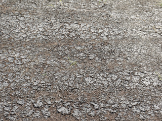 Obraz premium Dry cracked ground