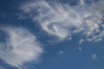White cloud