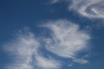 Obraz premium White cloud