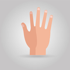 Insurance icon design 