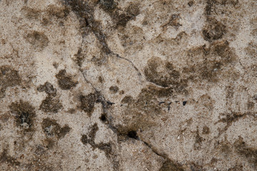 Real concrete texture background