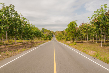 Fototapeta na wymiar Long macadamized road ahead with trees and sky clouds : countryside Thailand 
