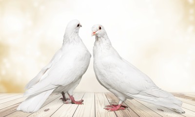 Love.