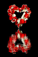Serce z płatków róż na białym tle z odbiciem w wodzie.Walentynki.Białe i czerwone płatki róż ułożone w kształcie serc.