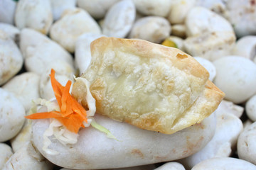 Chinese steamed dumplings