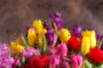 Krople wody i kwiat