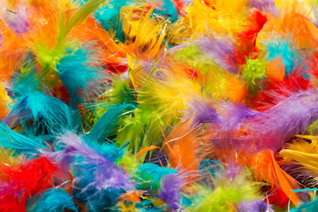 Fototapeta na wymiar Soft fluffy brightly colored bird feathers texture