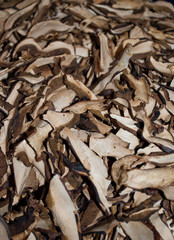 dried mushrooms