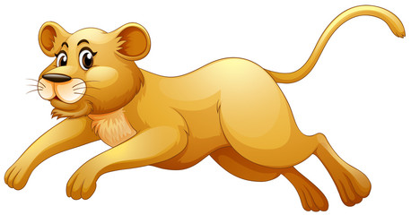 Little cub running alone