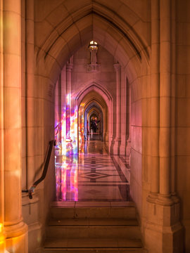 Lights in the Cathedral