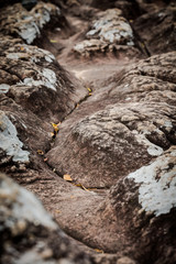 Phu Hin Rong Kla National Park, Phitsanulok Thailand.
