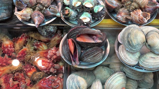 Alive seafood at the Jagalchi Fish Market (Seashells & Sea Pineapple). Busan